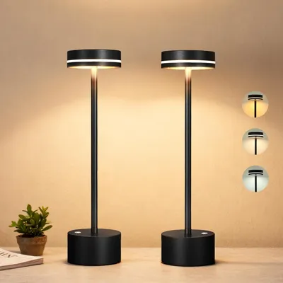 Two black, modern table lamps with a minimalist design are displayed on a surface, with a small potted plant and a book to the left. The lamps emit a warm, soft light.