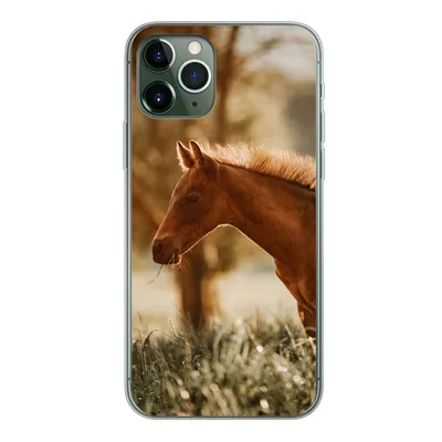 Produktbild von MuchoWow® Handyhülle Schutzhülle Hülle für iPhone 11 Pro Pferd - Licht - Wiese Silikon Softcase Handy Hülle - Handy
