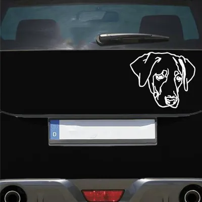 Produktbild von Auto Aufkleber Labrador LABI Labbi Hund Dog Hundekopf Hundefreund 15x13 cm Weiss Glanz Sticker Heckscheibenaufkleber