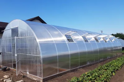 Productafbeelding van Garten Dream polycarbonaat kas "Fermer 5M", 5x6 meter, van staal, met 4 mm polycarbonaat. Uitgevoerd met deuren aan beide zijden