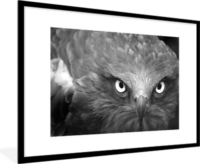 Produktbild von MuchoWow® MuchoWow® Gerahmtes Poster Adler - Schwarz - Weiß 90x60 cm - Poster mit zchwarzem Bilderrahmen - Wanddekoration - Fotos