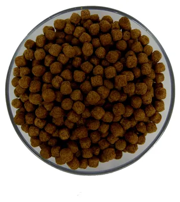 Produktbild von Season 5kg 3mm Koifutter - leicht verdauliches Futter für Herbst und Frühjahr - schwimmendes Futter