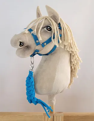 Zdjęcie produktu dla Zestaw do Hobby Horse: kantar A3 + uwiąz ze sznurka - turkus