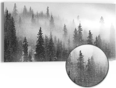 Produktbild von DEQORI Hybrid Leinwand Bild 60x30 cm 'Nebelwald Stille' Wandbild Glas flach modern
