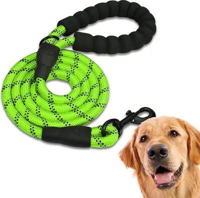 Image de Laisse pour chien de 1,5 m, souple et réfléchissante