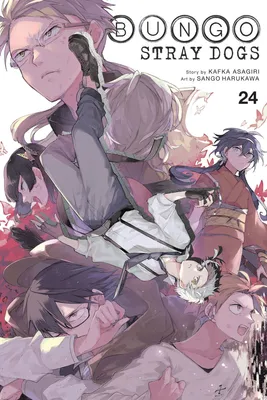 Produktbild von Bungo Stray Dogs, Band 24