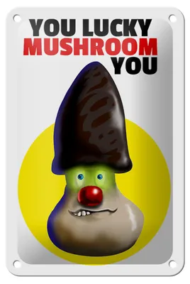Produktbild von Blechschild Spruch 12x18cm You lucky mushroom you