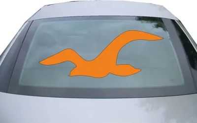 Produktbild von Indigos UG - Aufkleber Heckscheibe & Motorklappe DE2389 - orange - 600x228 mm - Möwe - Auto Scheiben Fenster Heckklappe Tuning Racing JDM - Die cut