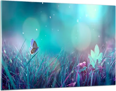 Produktbild von Bilder auf glas - Schmetterling Wiese Blume - 120x80cm - Glasbilder - Wandbilder - Kunstdruck - zum Aufhängen bereit - Wanddekoration aus Glas - Glas Bilder - Wandbild auf Glas - GAA120x80-4077
