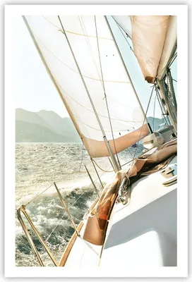 Produktbild von Poster - Poster ohne Rahmen - Yacht Segeln So - 61x91,5 cm - Wand Bild - Wanddeko - Wandbilder - Kunstposter - Wandposter - Bilder - Kunstdruck - Wanddekoration - Wandbild - P2XPA61x91-4847