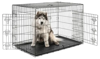 Productafbeelding van Lionto transportkooi voor dieren, inklapbare metalen kooi met scheidingswand, kunststof bodem en veiligheidsslot, 122x75x81 cm