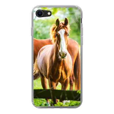 Produktbild von MuchoWow® Handyhülle Schutzhülle Hülle für iPhone 7 Pferde - Licht - Wiese Silikon Softcase Handy Hülle - Kartenhalter