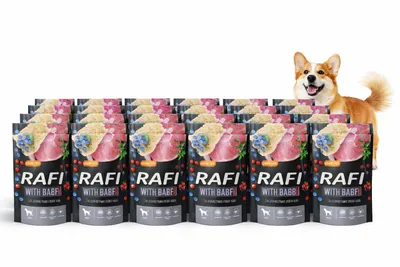 Obrázek produktu pro Vlhké krmivo pro psy RAFI se žaludky a šunkou, sáčky 24×500 g, SADA 24 sáčků ŽALUDKY 12 kg