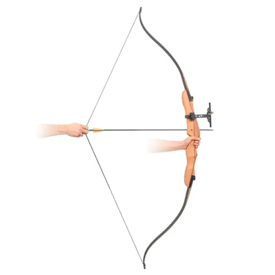 Immagine prodotto di Arco Ricurvo per Adulti 173 cm 14,5 kg