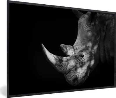 Produktbild von MuchoWow® MuchoWow® Gerahmtes Poster Rhinozeros auf schwarzem Hintergrund 90x60 cm - Poster mit zchwarzem Bilderrahmen - Fotorahmen - Foto-Plakat