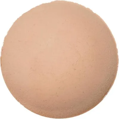 Image de AMILIE MINERAL Correcteur minéral bronzant intense 4 g