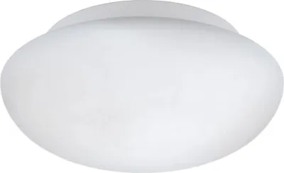Immagine prodotto di Plafoniera Contemporanea Ella 1 Luce Acciaio Bianco