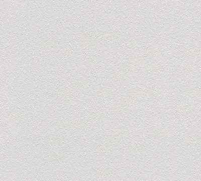 Obrázek produktu pro A.S. Création netkaná tapeta Meistervlies Pro Protect 2, bílá, malovatelná, 10,05 m x 0,53 m, 570314, 5703-14