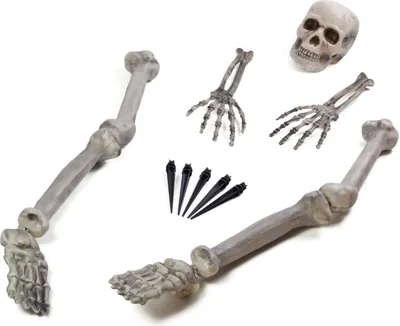 Produktbild von Skeleton Ground Breaker Costume Accessory - Size Einheitsgröße
