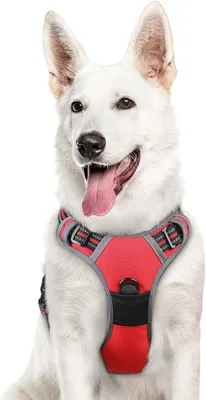 Image de Harnais pour chien, réglable, avec bandes réfléchissantes, taille XL, pour promenade