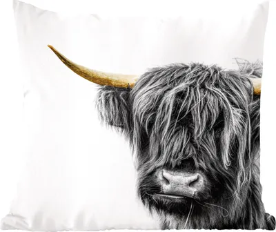 Produktbild von MuchoWow® Zierkissen Sofakissen Wohnzimmer Dekokissen 60x60 cm Schottisches Hochlandrind - Tiere - Goldene Hörner - Sitzfläche - Foto Polster