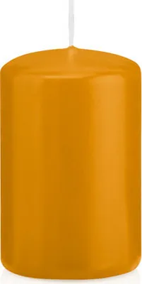 Produktbild von Wiedemann Stumpenkerzen Natur 80 x Ø 48 mm, 24 Stück