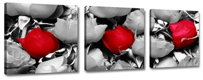 Produktbild von Visario Leinwandbild Rote Rose 150x50 cm – 3-teilig, Bild Wandbild Kunstdruck, aufhängfertig, Echtholzrahmen, Zackenaufhänger, Art. 4201