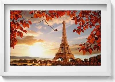Produktbild von Der Eiffelturm zwischen den Blättern– Wandbild mit Rahmen – Gerahmtes Bild  – Wanddekoration – 60x40 cm –  Schwarz Rahmen