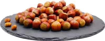 Produktbild von Haselnüsse ganz | in der Schale | 500g | Nüsse | Nusskerne |