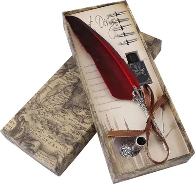 Immagine prodotto di Penna calligrafica inglese penna d'oca set di inchiostro da scrittura confezione regalo cancelleria con 5 punte