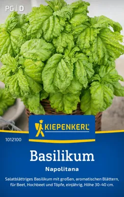 Produktbild von Kiepenkerl Basilikumsamen Napolitana Ocimum basilicum 120 Pflanzen