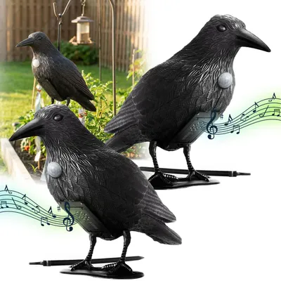 Produktbild von 2er-Set Realistische Vogelabwehr Krähe mit Sound: Batteriebetriebener Raben Vogelschreck für effektive Vogelabwehr. Natürliche Krähengeräusche zur Abs