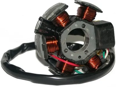 Produktbild von LICHTMASCHINE STATOR ZÜNDUNG für Fantic Caballero Supermoto 50 AM6 MINARELLI