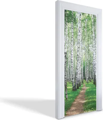 Produktbild von Türfolien Design Selbstklebende Wandsticker Türtapeten - Birkenwald - 85 x 205 cm