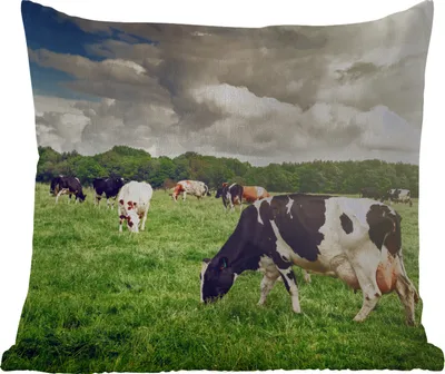 Produktbild von MuchoWow® Outdoor Kissen - Kühe - Weide - Natur - Tiere - Landschaft - 40x40 cm - Wetterfest - Lounge Kissen - Kopfkissen - Interieur - Polster mit Bild