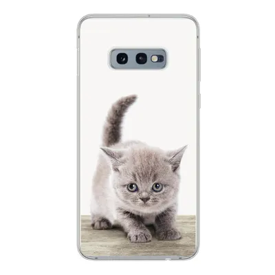 Produktbild von MuchoWow® Handyhülle Schutzhülle Hülle für Samsung Galaxy S10e Kätzchen - Katze - Haustiere - Jungen - Kinder - Mädchen Silikon Softcase Handy Hülle - Handy