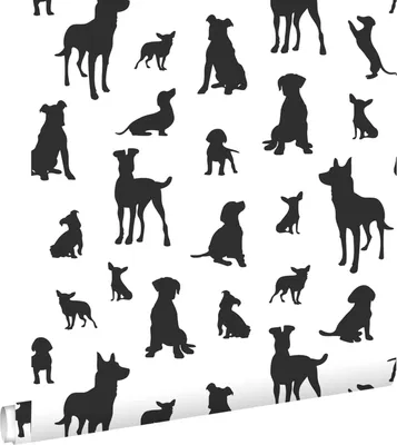 Zdjęcie produktu dla ESTAhome Tapeta psy czarno-białym 50 x 900 cm