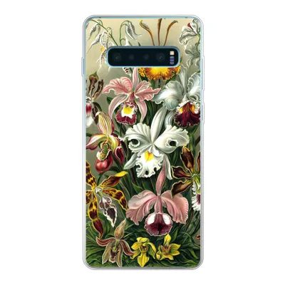 Produktbild von MuchoWow® Handyhülle Schutzhülle Hülle für Samsung Galaxy S10 Lite Orchidee - Haeckel - Kunst Silikon Softcase Handy Hülle - Schutz