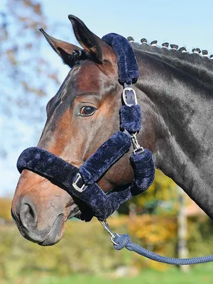 Produktbild von BUSSE Halfter Guard Kunstfell Navy/Navy P
