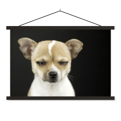 Produktbild von MuchoWow® Textilposter Hund - Haustiere - Porträt 150x100 cm mit schwarzem Rahmen - Schlafzimmer