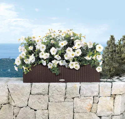 Produktbild von Huisje 80 mokka 15615 - Balkonera für Außenpflanzen