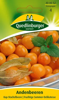Produktbild von Andenbeere | Andenbeerensamen von Quedlinburger