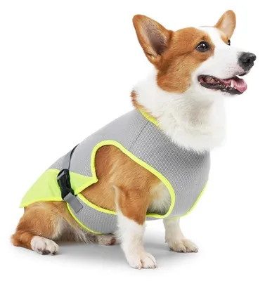 Produktbild von Hundekleidung, atmungsaktiv und leicht für den Sommer