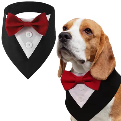 Productafbeelding van Hond Bandana met Strikje - Verstelbare Triangel Sjaal - Zwart/Rood