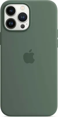 Image de Apple Silicone Backcover MagSafe pour Apple iPhone 13 Pro Max - Eucalyptus