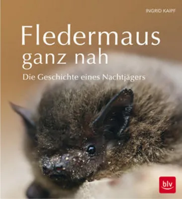 Produktbild von Fledermaus ganz nah