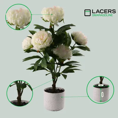 Produktbild von Lacers SMARAGDLINE künstliche Pfingstrosen 2er Set weiß 55cm - dekorative kunstpflanze im Topf - wie echt wirkende Blätter & Blüten für Zuhause & Büro