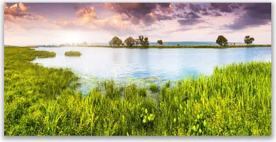 Produktbild von Tulup Leinwand-Bilder 120x60 Wandbild Canvas Kunstdruck Gras See Natur