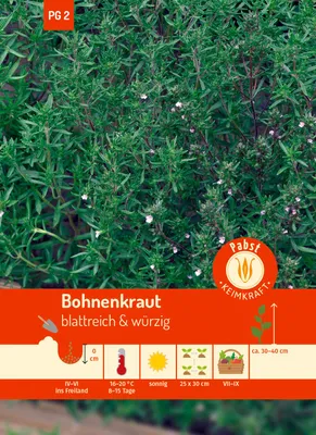 Artikelbild 1 von 'Bohnenkraut Einjähriges' aus der Kategorie Bohnenkrautsamen
