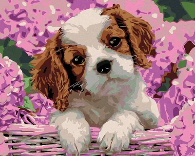 Produktbild von Diamondi - Diamond painting - HUNDEWELPEN UND HORTENSIEN, 40X50 cm, mit Keilrahmen (bereits gespannt)